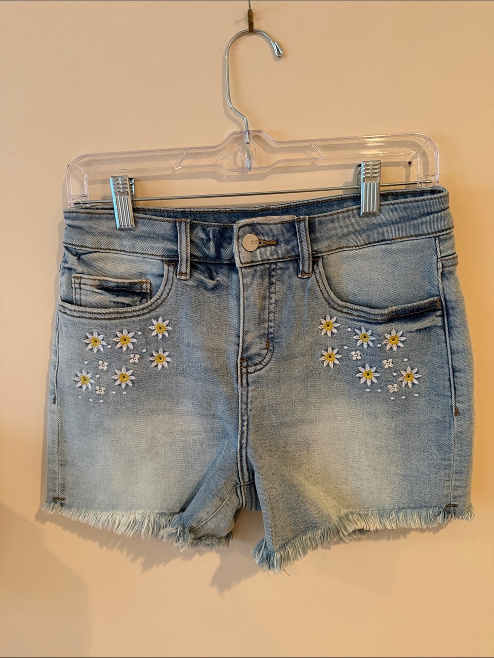 Daisy Embroidered Light Blue Denim Shorts